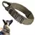 Dog Tático - comprar online