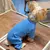 Trico Pet Style - comprar online