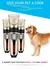 Pet Silence Pro - loja online