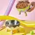 Tigela Pet Pop Color - loja online