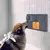 Pet Zen Mat - comprar online