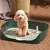 Sanitário Pet Clean Pro