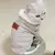 Casaco Plush Pet - loja online