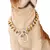 Dog Gold Lux - comprar online