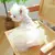 Brisa Pet Style na internet