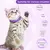 Calma Pet - loja online