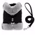 Pet Belle Fashion - comprar online