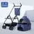 Passeio Pet Dobrável - comprar online