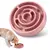 Tigela SlowFun Pet - loja online