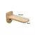 Imagem do Escalada Feline Fit