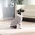 Casaco Plush Pet - comprar online