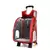 Trolley Pet Viagem Fácil - loja online