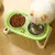 Flexi Pet Duo Bowl - loja online