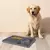 Pet Zen Mat - comprar online