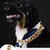 Dog Gold Lux - comprar online