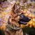 Imagem do Dog Tático