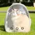 Mochila Pet Crystal Air - comprar online