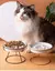 Pet Gourmet Bowl na internet