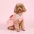 Vestido Pet Princesa Rosé - Bichôu
