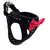 Peitoral Glam Pet - loja online