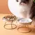 Pet Gourmet Bowl
