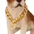 Dog Gold Lux na internet