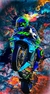 Laminas de Motos