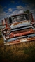 Laminas de Rat Rod - tienda online