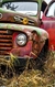 Laminas de Camionetas - comprar online