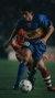 Laminas de Riquelme en internet