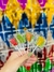 Paleta Pies X5u