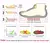 Chinelo nuvem unissex - casual e estiloso