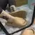 Chinelo nuvem unissex - casual e estiloso na internet
