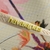 Chinelo Havaianas Slim Summer Bliss - loja online