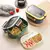 Única lancheira de camada dupla, compartimento portátil, Fruit Food Box, micro - comprar online