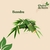 Bambu - comprar online