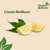 Limão Siciliano - comprar online