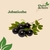 Jabuticaba - comprar online