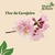 Flor de Cerejeira - comprar online