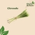 Citronela - comprar online