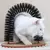 AutoMiau - Arco Massageador e Escova de Autocuidado para Gatos - WP OFFERS