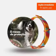 Colar Anti Pulgas e Carrapatos na internet