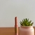 Gloss Oil Click Stick Pink21 na internet