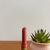 Gloss Oil Click Stick Pink21 - loja online