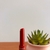 Gloss Oil Click Stick Pink21 na internet