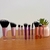 Kit 10 Pincéis Mini Blosinha - loja online