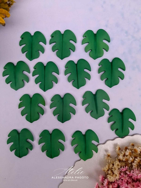 Folha Costela de Adão