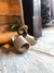 Cloud Slipper (Chinelo Nuvem) - comprar online