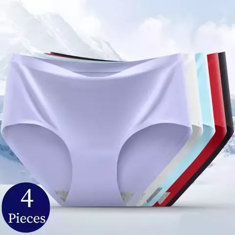 Trowbridge 4 pçs set calcinha feminina sem costura tamanho grande roupa interio