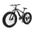 Bicicleta de neve de praia de velocidade variável de 26 polegadas Freios a disc - comprar online